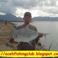 Ikan Rambeu (Aceh)