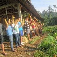 Bambu Kuning