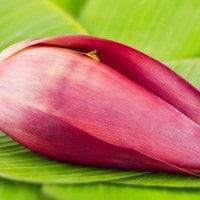 Pisang ( Manfaat Jantung Pisang)