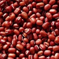 Kacang merah