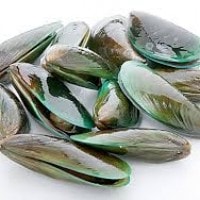 Kerang Hijau