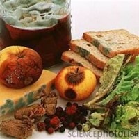 Tanda- tanda Kerusakan Pangan