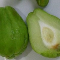Labu Siam