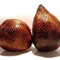 Manfaat Buah Salak