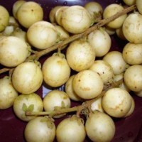 Buah Rambai