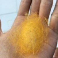 Kantung Telur Laba-laba Kemlandingan