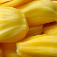 Nangka