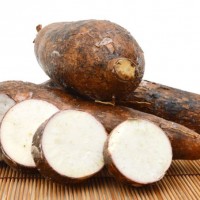 Singkong Untuk Kekebalan Tubuh