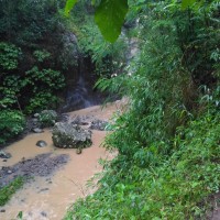 Hari Hutan dan Air Sedunia