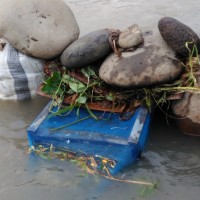 Wuwu Udang Sungai Serayu