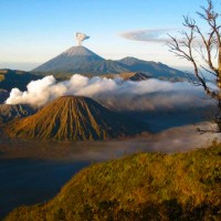 Wisata Gunung Bromo
