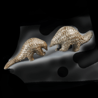 Save PANGOLIN!