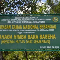 Taman Nasional Sebangau