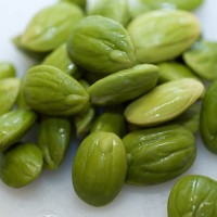 Petai