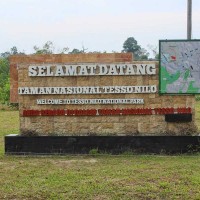 Taman Nasional Tesso Nilo