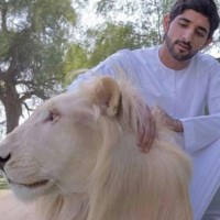 KETIKA ANAK SULTAN SALAH MENEMPATKAN CINTA DAN PERASAAN  √¢‚Ç¨≈ìKETIKA SATWA MENJADI UKURAN STATUS SOSIAL√¢‚Ç¨¬ù