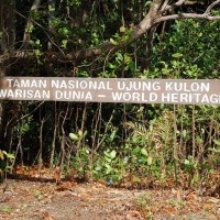 Taman Nasional Ujung Kulon