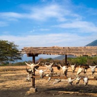 Taman Nasional Baluran