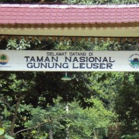 Taman Nasional Gunung Leuser, Tempat Bertahan Hidup Satwa Endemik