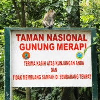 Taman Nasional Gunung Merapi