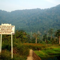 Taman Nasional Gunung Palung