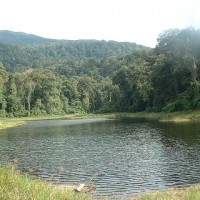 Taman Nasional Batang Gadis