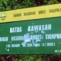 Taman Nasional Bukit Tigapuluh