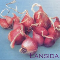 Bawang merah